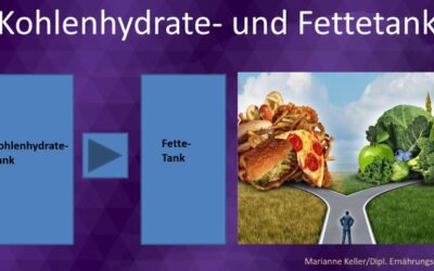 Es gibt einen Kohlenhydrate- und einen Fette-Tank im Körper