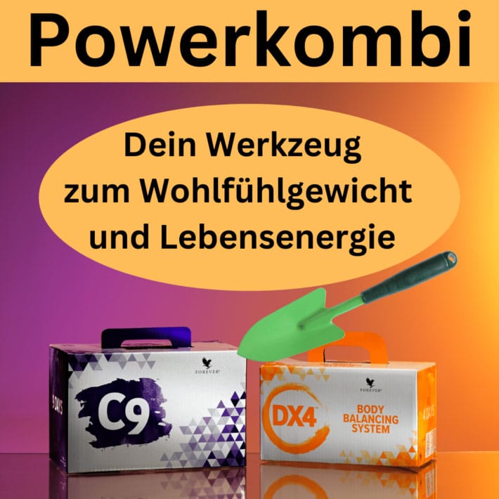 Powerkombi