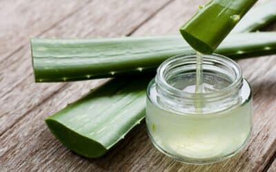 Fit mit Aloe Vera: Ein ganzheitlicher Ansatz für Gesundheit und Wohlbefinden