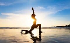 Die ultimative Lösung für eine gesunde Ernährung und Gewichtsabnahme