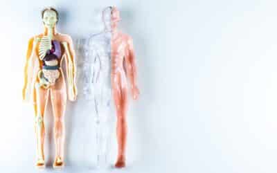 Die Bedeutung einer gründlichen Körperreinigung